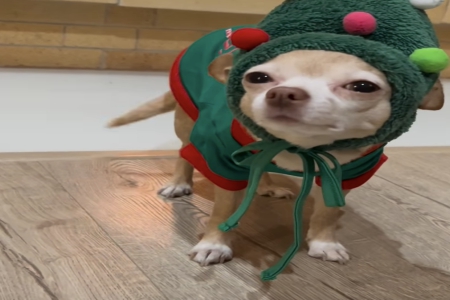 칫˾ȡִȫ
