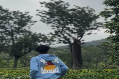 2026����ôע�ṫ˾����