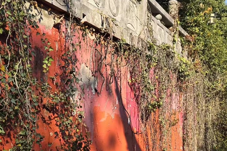 2026����������Ĺ�˾����