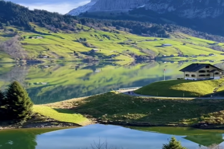 ȡ����ó��˾����