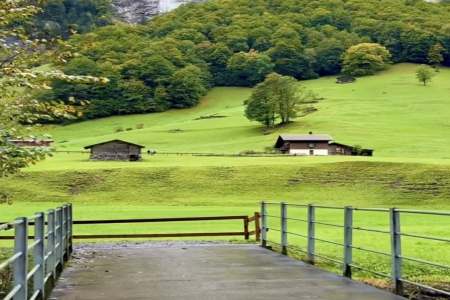 �����Ĺ�˾����